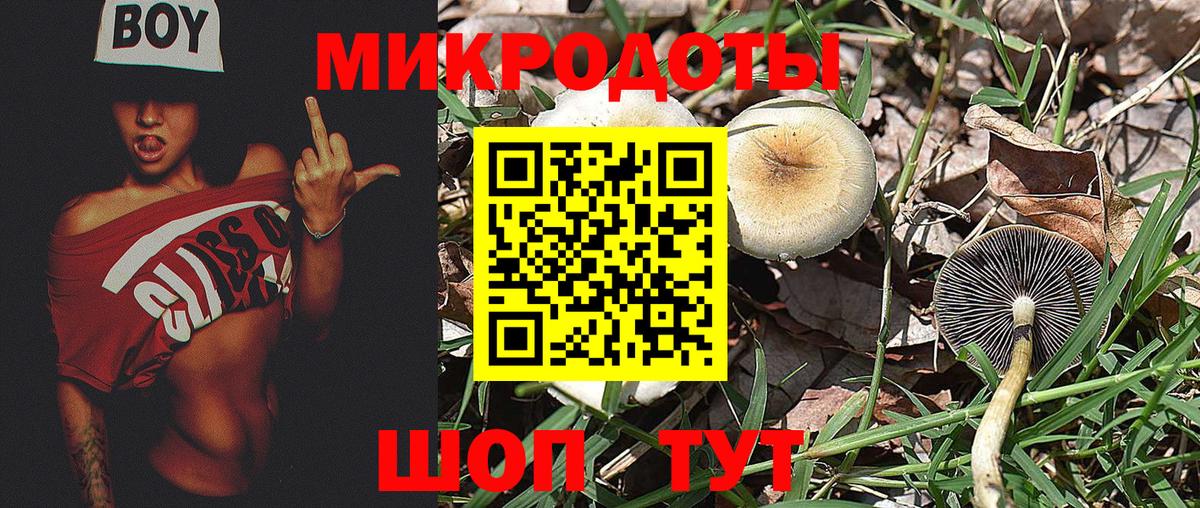 Галлюциногенные грибы Psilocybe Мценск
